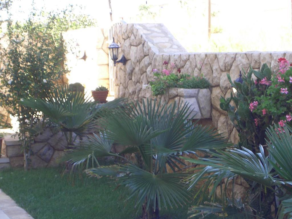 Apartments Ana Vir Δωμάτιο φωτογραφία
